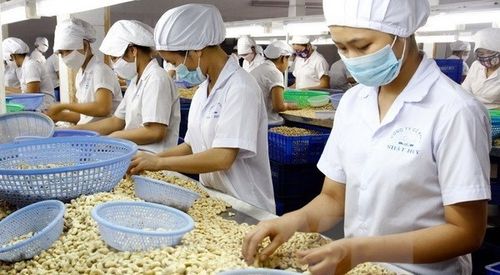 越南大力减少初级农产品出口量